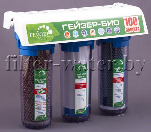 фильтр проточного типа Гейзер БИО