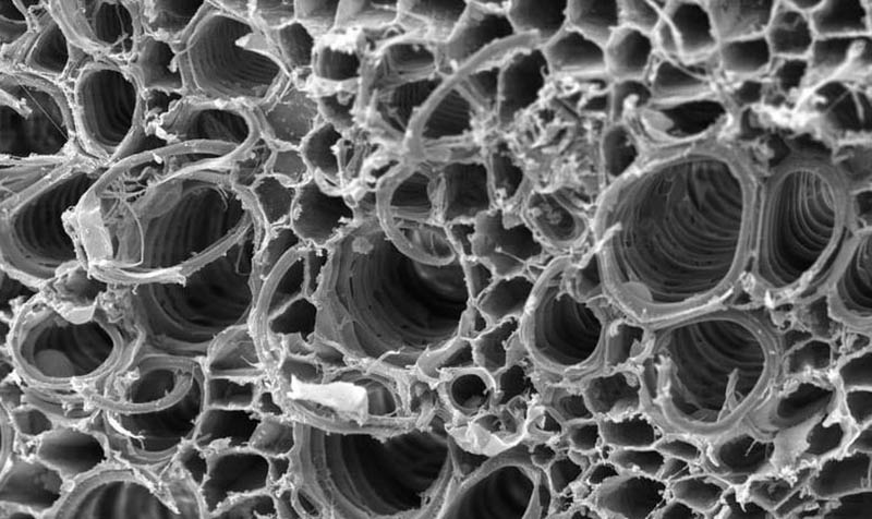 Микропоры активированного угля под микроскопом